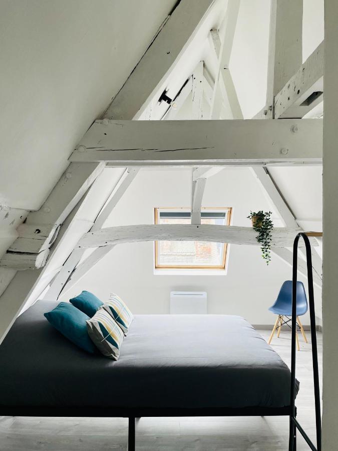 Be My Apparts, Appartement De Charme "Au Beffroi", Douai, Coeur De Ville المظهر الخارجي الصورة